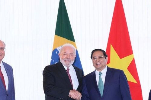 Biểu đồ 'thăng' dần lên của quan hệ Việt Nam - Brazil sau 35 năm