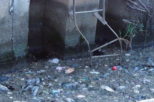 Sau mưa, cá chết, rác nổi lềnh bềnh trên kênh Nhiêu Lộc