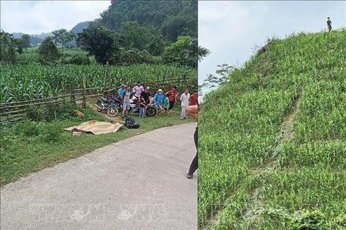 Xe máy lao xuống vực sâu ở Mai Châu, hai vợ chồng người Đức thương vong