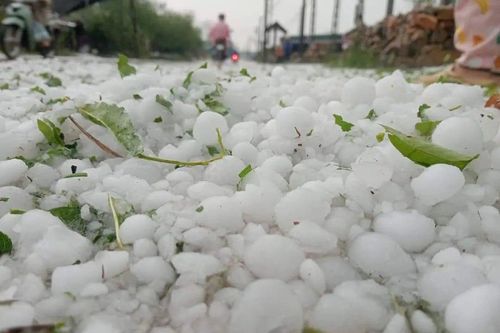 Hòa Bình 'xin' trung ương 42 tỷ đồng để khắc phục hậu quả thiên tai