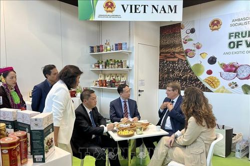 Kết nối nông sản Việt Nam - Italy
