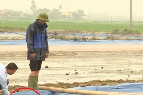Anh nông dân cứ mỗi năm đút túi 10 tỷ đồng nhờ nuôi con đặc sản 'chui rúc'