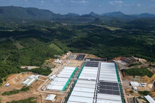 Trại nuôi 30.000 con lợn ở Thanh Hóa gây hôi thối, ảnh hưởng tới dân