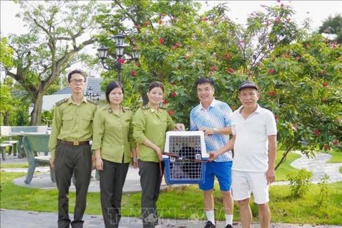 Vườn quốc gia Cúc Phương cứu hộ thành công một con vượn đen má hung quý hiếm