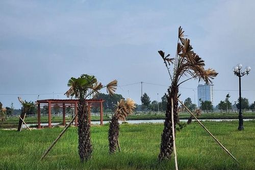 Thanh Hóa rà soát các dự án cây xanh theo yêu cầu của Bộ Công an