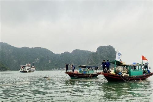Việt Nam - EU chung tay vì môi trường sạch, ứng phó với biến đổi khí hậu