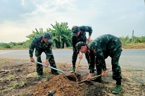 Trồng 500 cây kèn hồng trên tuyến đường nông thôn mới