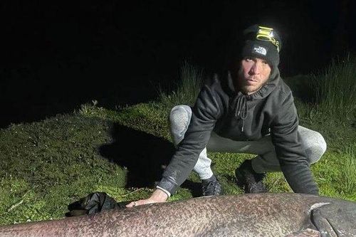 Clip: Người đàn ông câu được con cá da trơn khổng lồ nặng 64,4kg