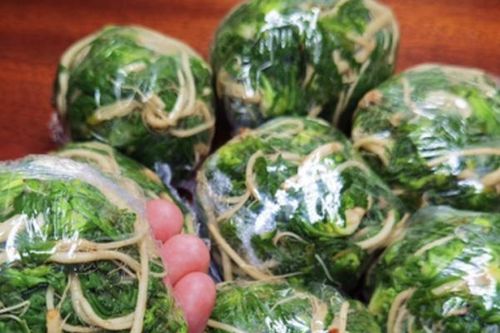 Ăn 1 mớ rau này tốt ngang thịt bò, giá 'rẻ bèo' mà nấu gì cũng ngon