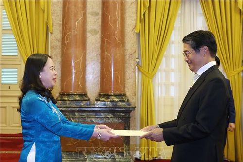 Quyền Chủ tịch nước tiếp Đại sứ Nhật Bản trình Quốc thư