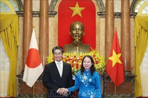 Quyền Chủ tịch nước tiếp Đại sứ Nhật Bản trình Quốc thư