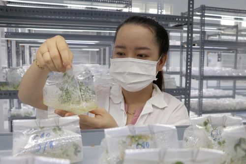 Xây dựng đại học đổi mới sáng tạo: Cần gỡ nhiều nút thắt từ cơ chế đến nhận thức