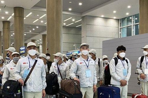 Bộ Lao động cảnh báo lừa đảo xuất khẩu lao động qua Australia