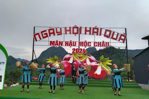 Sôi động Ngày hội hái mận Mộc Châu năm 2024