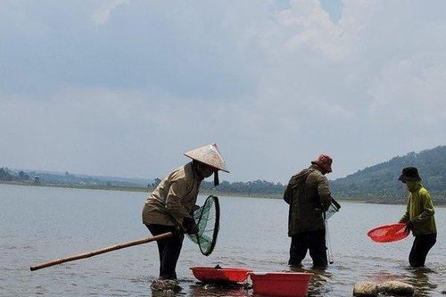 Mưu sinh trên hồ đẹp nhất Buôn Ma Thuột và niềm vui của nhiều cần thủ