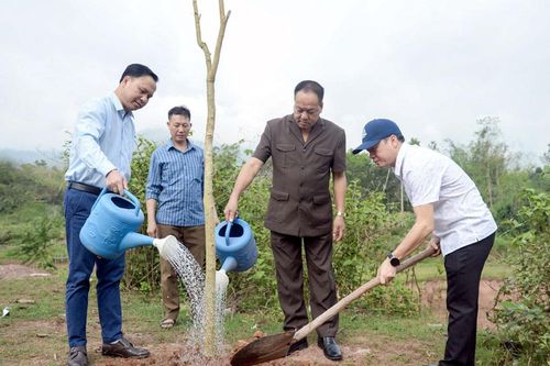 Mường Nhé hưởng ứng phong trào trồng cây nhân dịp sinh nhật Bác