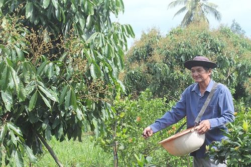 Hội Nông dân tỉnh triển khai các phong trào thi đua thiết thực và hiệu quả