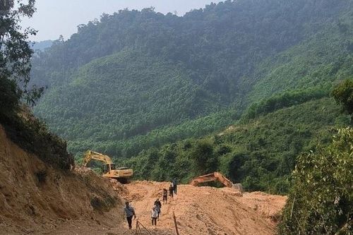 Xử phạt doanh nghiệp và cá nhân ủi rừng tự nhiên ở Quảng Trị