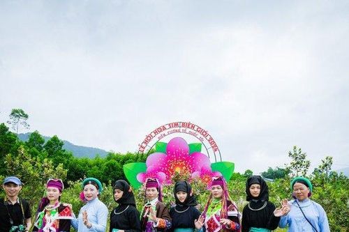 Nhiều dấu ấn tại Lễ hội 'Hoa Sim biên giới 2024'