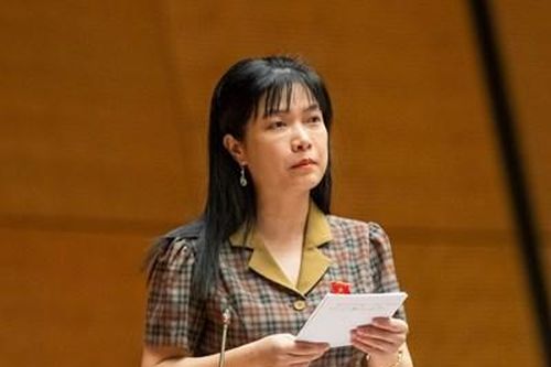 Đại biểu Quốc hội: Luật Đường bộ cần tạo điều kiện cho dịch vụ chia sẻ chuyến xe dưới 10 chỗ