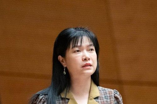 ĐBQH đề nghị tạo điều kiện cho dịch vụ chia sẻ chuyến xe dưới 10 chỗ