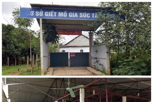 Lãng phí tiền tỷ!