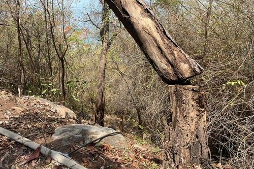 Nghi phạm sát hại cô gái, phân thi thể nhét vào vali khai gì?