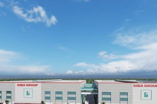 Lãnh đạo Siba Group muốn thoái toàn bộ vốn
