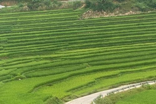 Có hẹn với Pù Luông