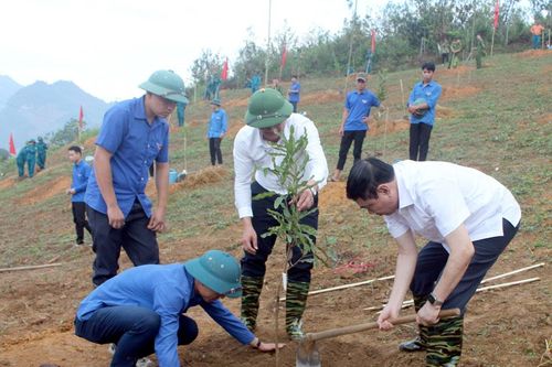 Tuyên truyền thay đổi tư duy, cách làm của người dân trong thực hiện các dự án trồng mắc ca