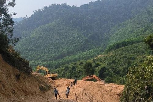 Quảng Trị: San ủi rừng tự nhiên trái phép, một doanh nghiệp bị phạt 60 triệu đồng