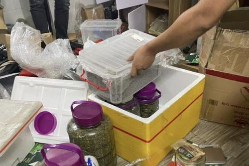Từ trình báo của shipper, phát hiện đối tượng chia 4kg cần sa đi bán lẻ