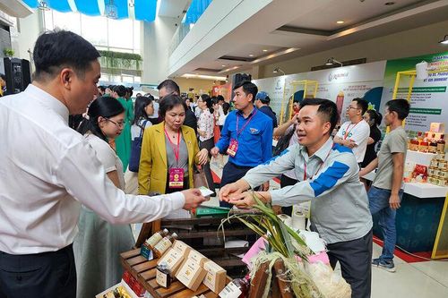 Đánh thức tiềm năng phát triển đất 'Chín Rồng'