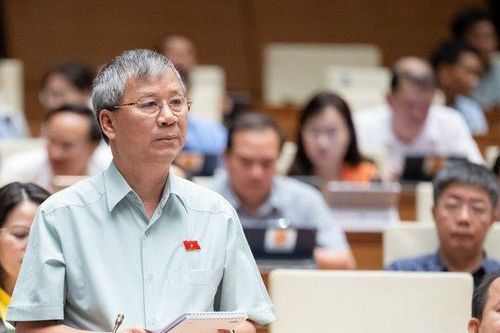 ĐBQH 'thực sự đau' trước tình trạng cán bộ đùn đẩy, sợ trách nhiệm