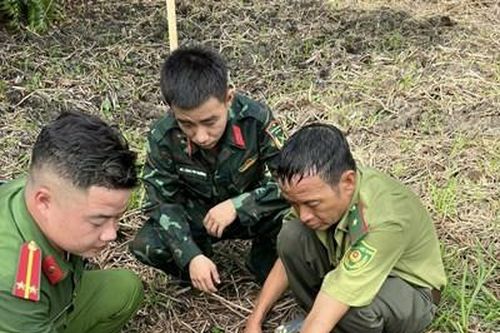 Thả kỳ đà hoa quý hiếm bị mắc bẫy về môi trường tự nhiên