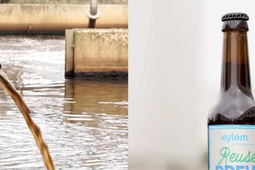 Công nghệ sản xuất bia từ... nước thải ở 'Vương quốc bia' Đức