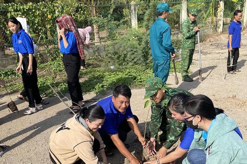 Tuổi trẻ Tri Tôn trồng 500 cây xanh trên vùng biên giới Vĩnh Gia
