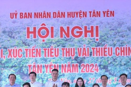 Tích cực kết nối, đẩy mạnh tiêu thụ trái vải Bắc Giang trên thị trường