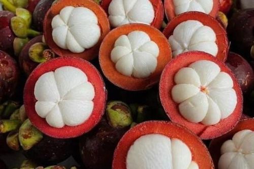 Những lợi ích tuyệt vời của 'nữ hoàng trái cây' măng cụt