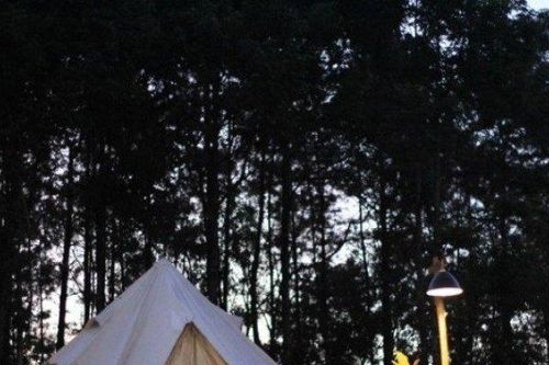 Glamping và cắm trại: Sự khác biệt là gì và loại nào dành cho bạn?