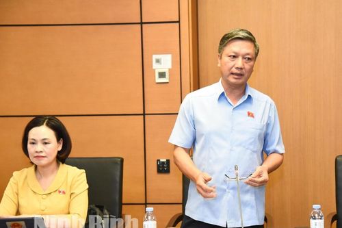 Kỳ họp thứ 7, Quốc hội khóa XV: Đại biểu Quốc hội tỉnh thảo luận ở tổ về một số dự thảo nghị quyết