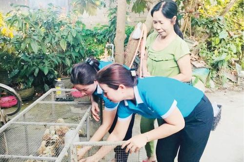 Biến 'cần câu' thành đòn bẩy kinh tế