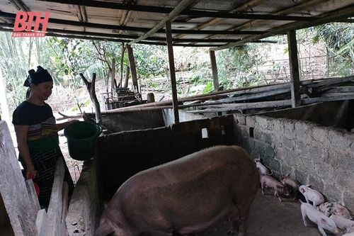 Chuyện 'xuất ngoại' ở vùng cao