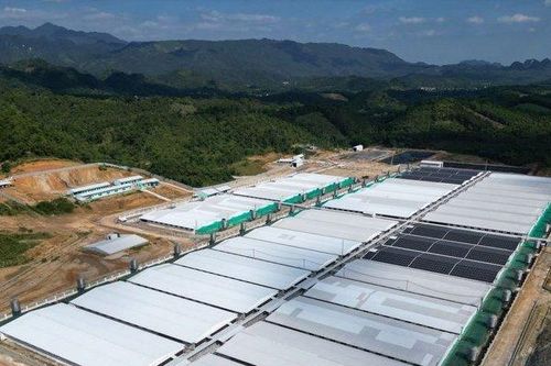 Thanh Hóa: Yêu cầu xuất bán 25.000 con lợn, dừng nuôi để xử lý môi trường