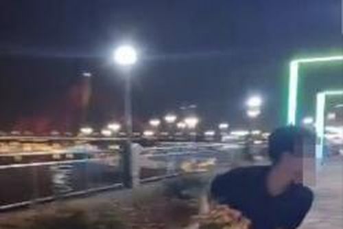 Đà Nẵng: Nam thanh niên dựng chuyện trộm cây cảnh rồi quay clip để câu view
