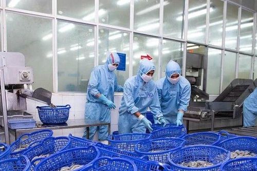 Doanh số của Sao Ta đạt gần 1.900 tỷ đồng sau 5 tháng