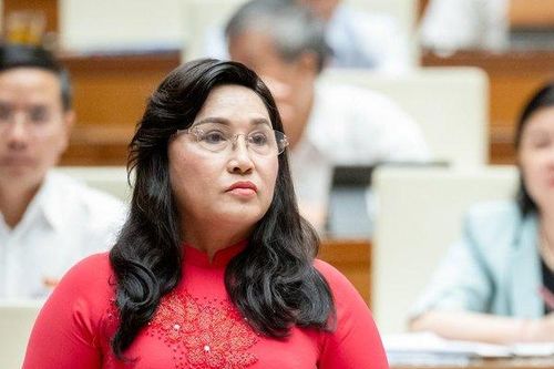 'Đồng bằng sông Cửu Long vẫn đang tự lún'