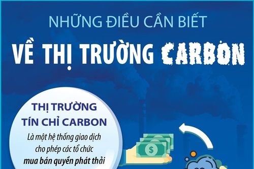 Những điều cần biết về thị trường carbon