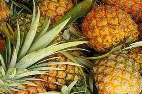 Giá nông sản ngày 6/6: Dứa được mùa giá cao, sầu riêng ổn định, cà phê trên đà giảm