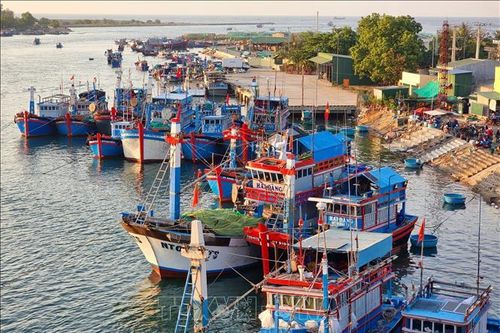 Nâng cao ý thức chấp hành pháp luật trong khai thác hải sản